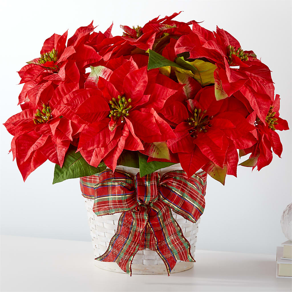 Happiest Holidays Poinsettia – KILBY'S FLORIST, Kannapolis NC