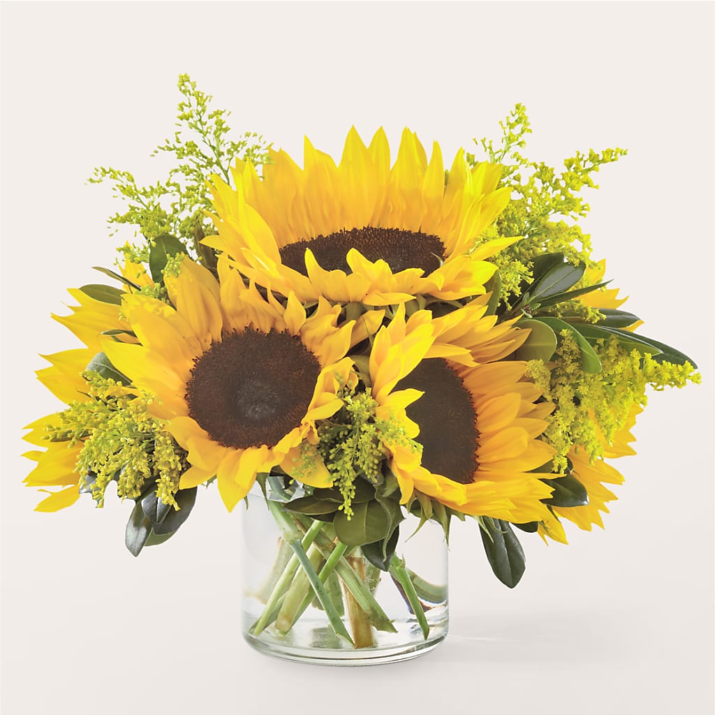Beaming Sunflower Bouquet – KILBY'S FLORIST, Kannapolis NC