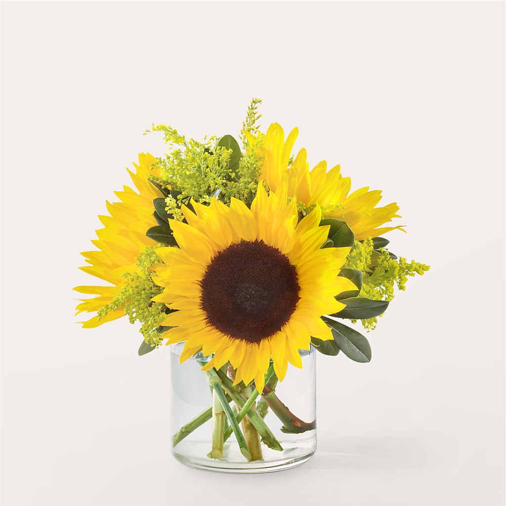 Beaming Sunflower Bouquet – KILBY'S FLORIST, Kannapolis NC