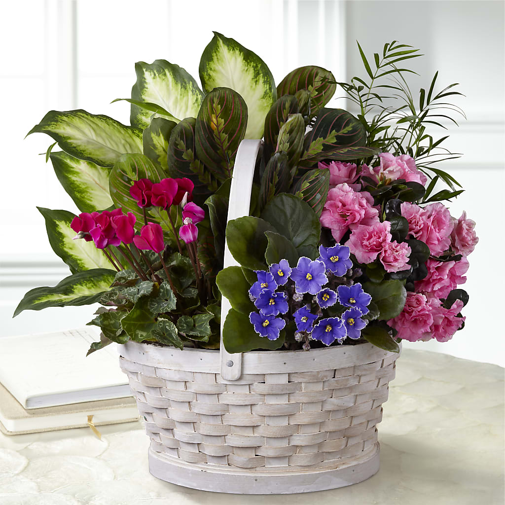 Peaceful Garden Planter – KILBY'S FLORIST, Kannapolis NC