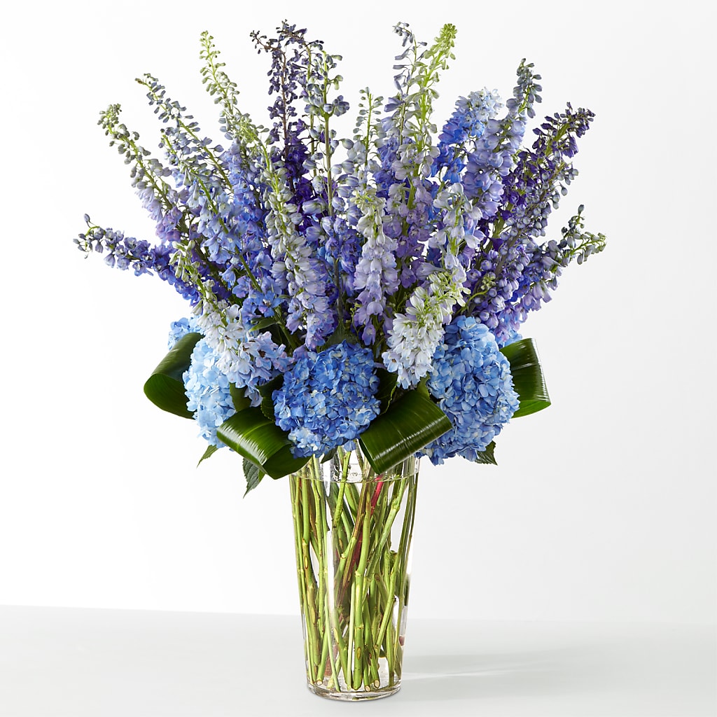 The Editorial – KILBY'S FLORIST, Kannapolis NC
