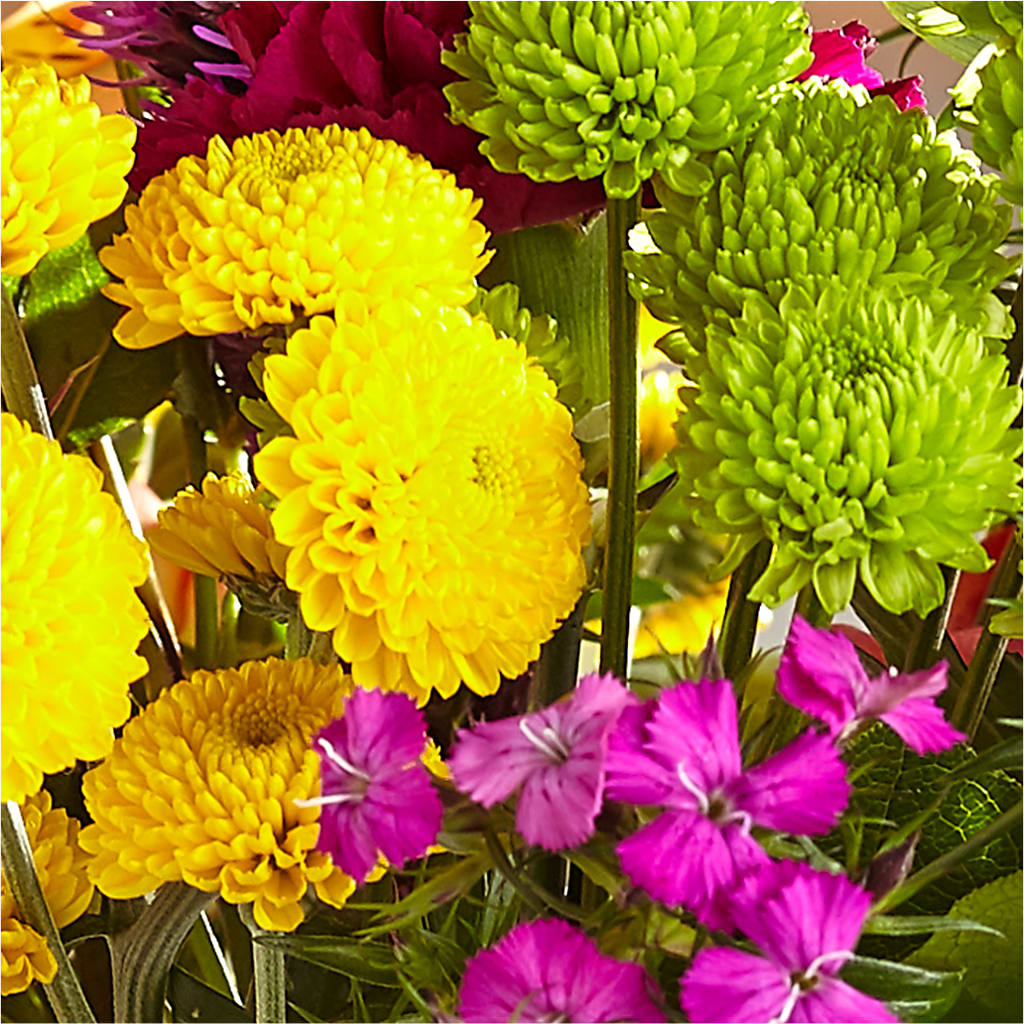 Bold & Bright – A Florist Original – KILBY'S FLORIST, Kannapolis NC