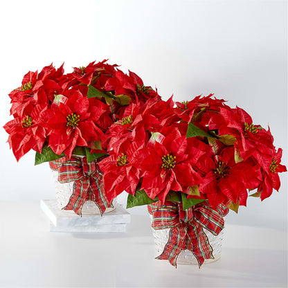 Happiest Holidays Poinsettia Bundle – KILBY'S FLORIST, Kannapolis NC