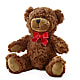Adorable Plush Bear – KILBY'S FLORIST, Kannapolis NC
