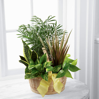 French Garden – KILBY'S FLORIST, Kannapolis NC
