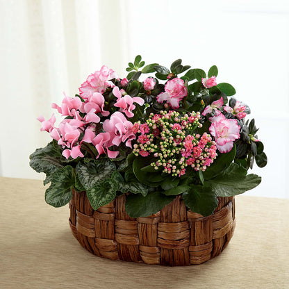 Pink Assortment – KILBY'S FLORIST, Kannapolis NC