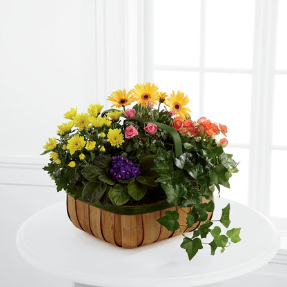 Gentle Blossoms Basket – KILBY'S FLORIST, Kannapolis NC