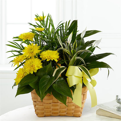 Loving Light Dishgarden – KILBY'S FLORIST, Kannapolis NC