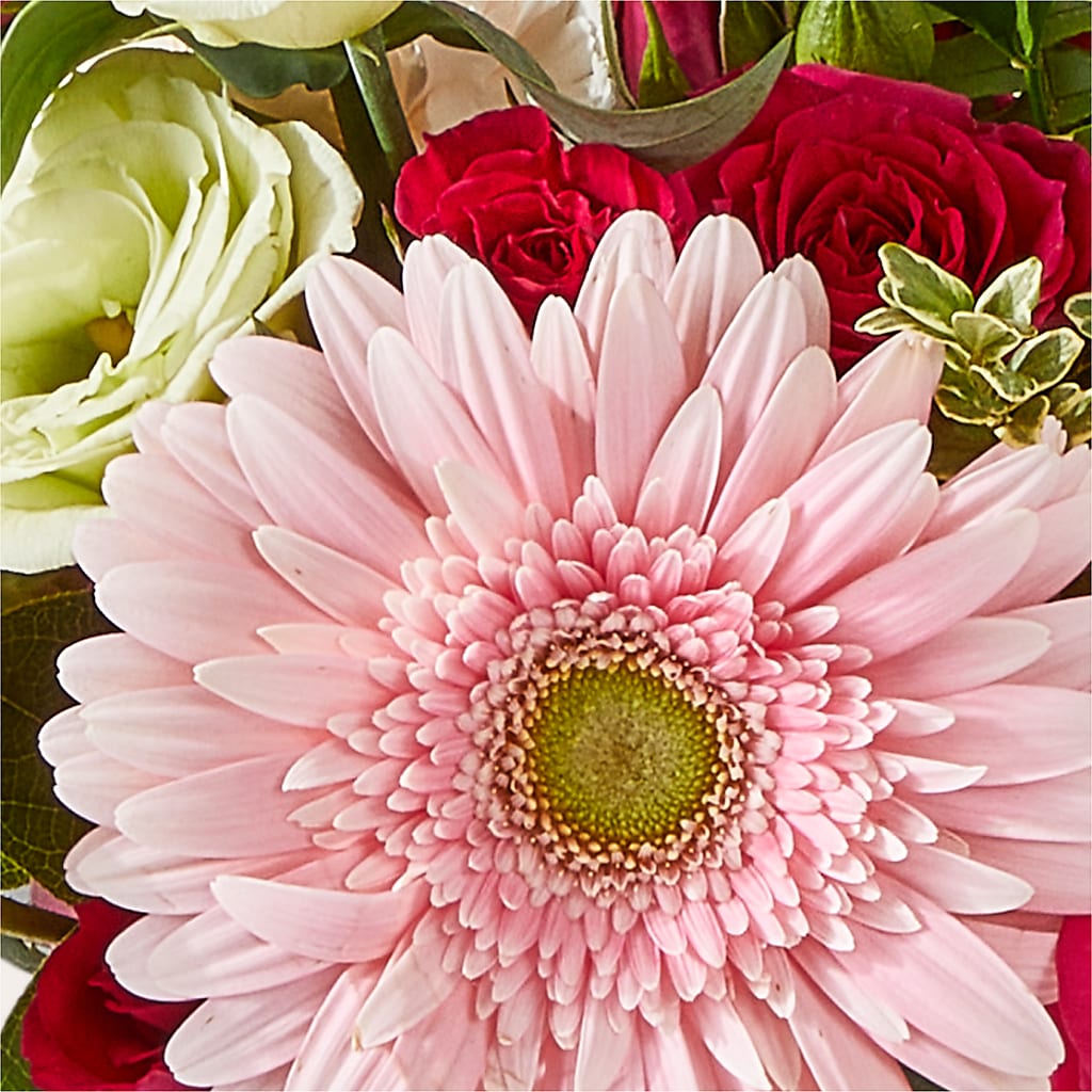 Too Cute Bouquet – KILBY'S FLORIST, Kannapolis NC