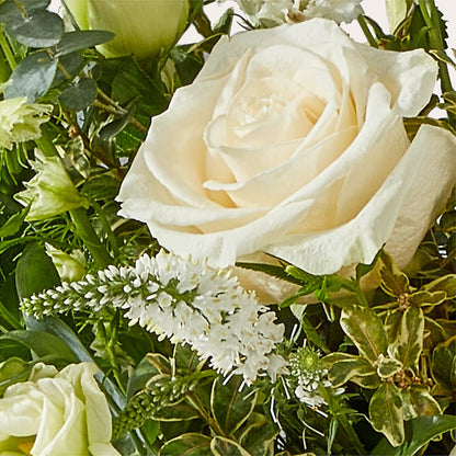 Cashmere Bouquet – KILBY'S FLORIST, Kannapolis NC