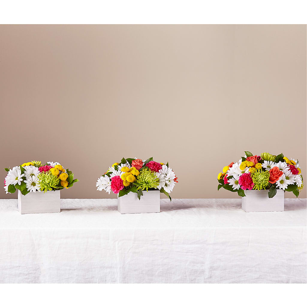 Sorbet Bouquet – KILBY'S FLORIST, Kannapolis NC
