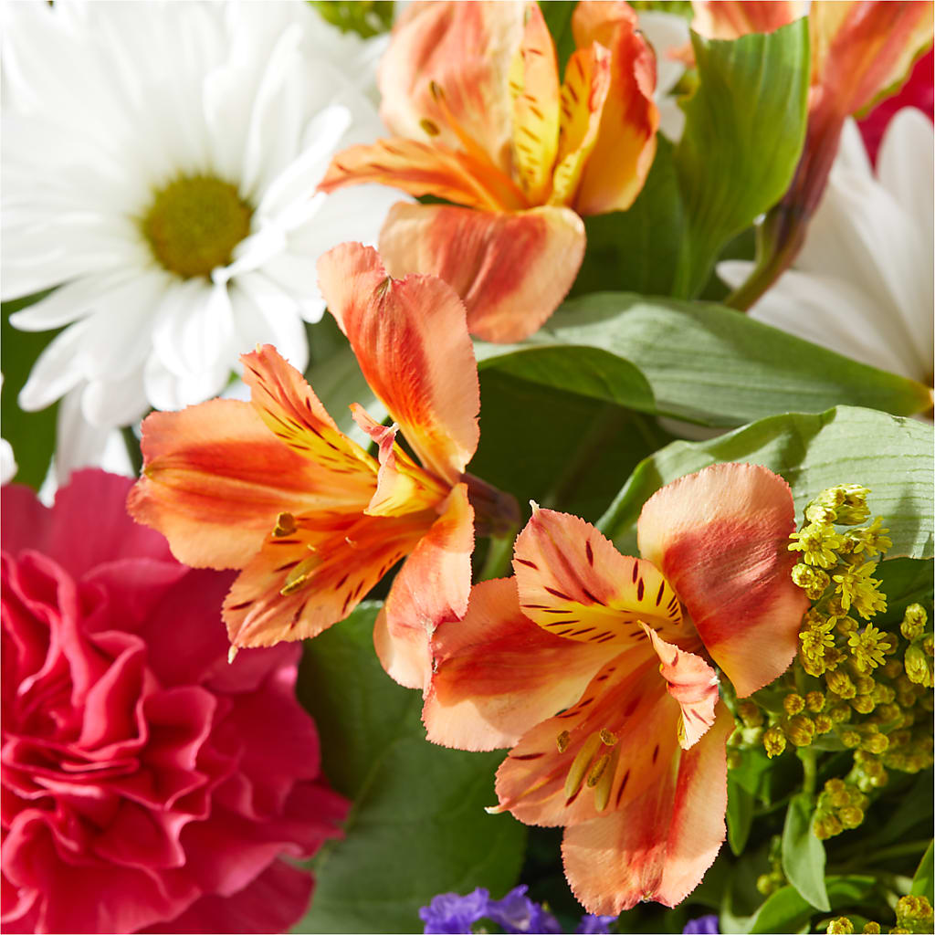 Oopsie Daisy Box Bouquet – KILBY'S FLORIST, Kannapolis NC