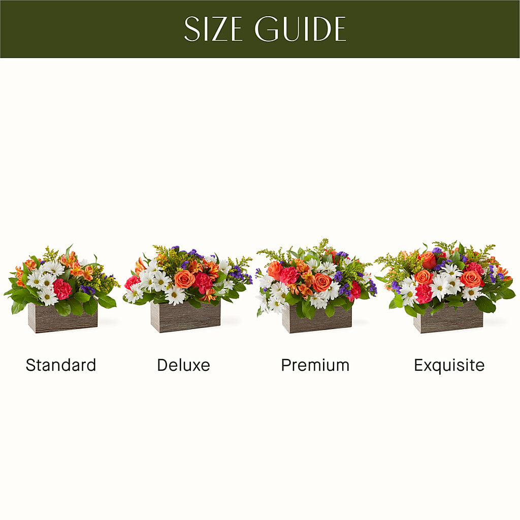 Oopsie Daisy Box Bouquet – KILBY'S FLORIST, Kannapolis NC
