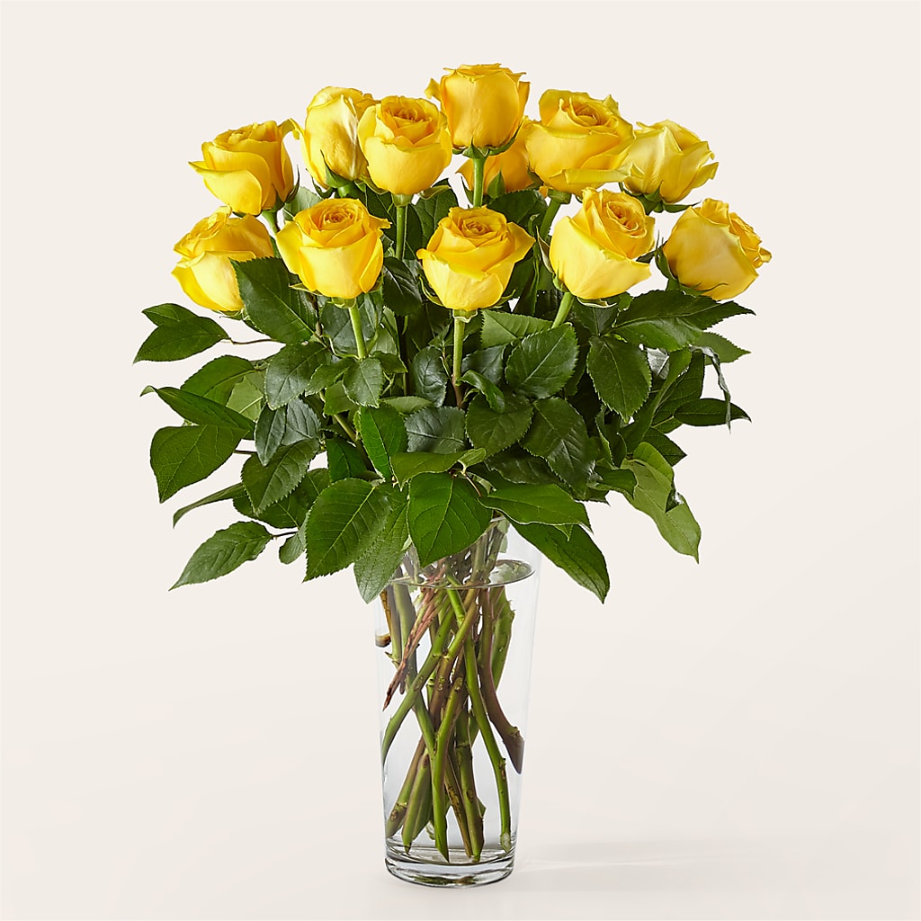 Long Stem Yellow Rose Bouquet – KILBY'S FLORIST, Kannapolis NC