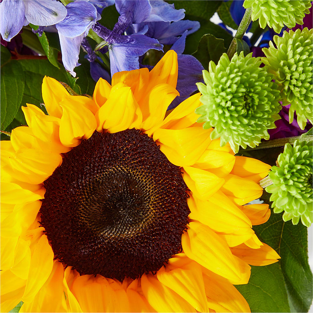 Catching Rays Bouquet – KILBY'S FLORIST, Kannapolis NC