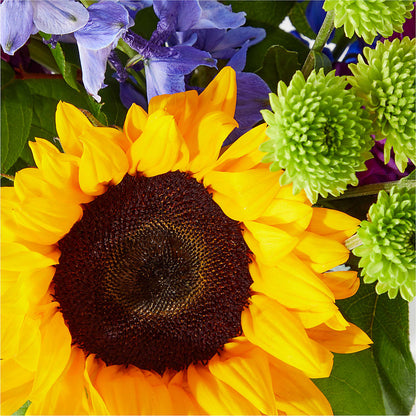 Catching Rays Bouquet – KILBY'S FLORIST, Kannapolis NC