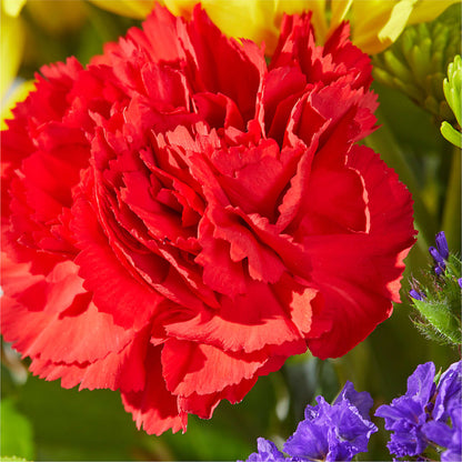 Brighter Days Bouquet – KILBY'S FLORIST, Kannapolis NC