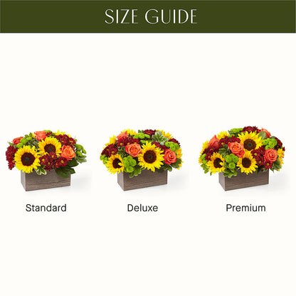 Happy Harvest Garden – KILBY'S FLORIST, Kannapolis NC