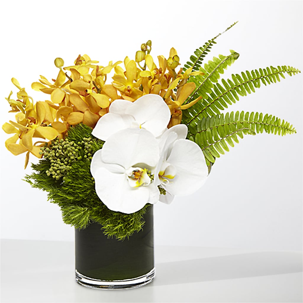 The Tropics – KILBY'S FLORIST, Kannapolis NC