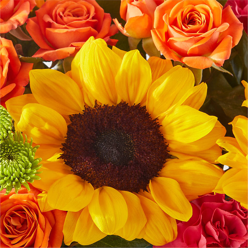 Sun-drenched Blooms Box Bouquet – KILBY'S FLORIST, Kannapolis NC