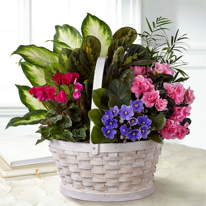 Peaceful Garden Planter – KILBY'S FLORIST, Kannapolis NC