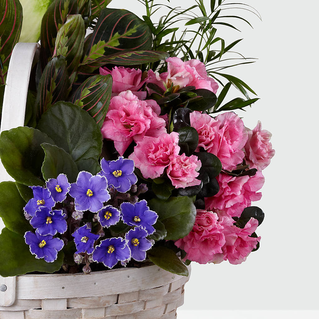 Peaceful Garden Planter – KILBY'S FLORIST, Kannapolis NC