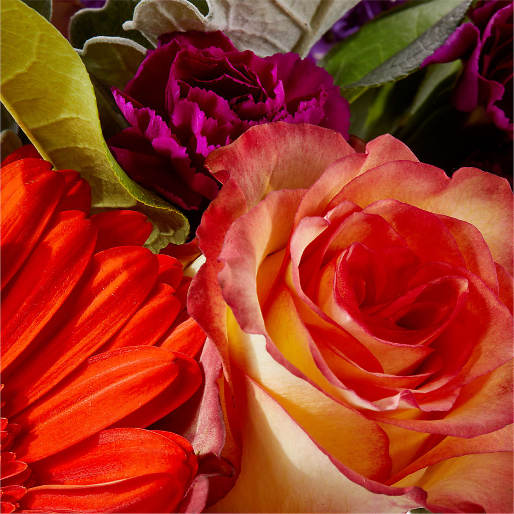Sangria Bouquet – KILBY'S FLORIST, Kannapolis NC