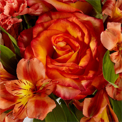 Apricot Glow Bouquet – KILBY'S FLORIST, Kannapolis NC