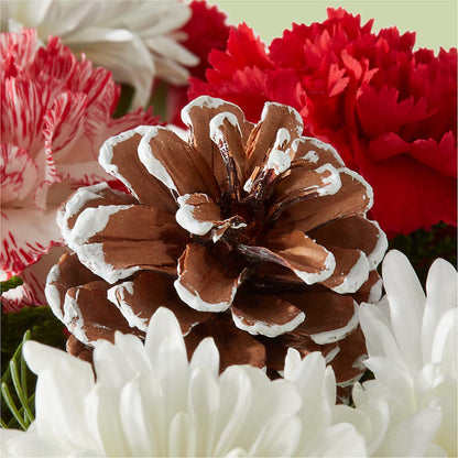 Candy Cane Lane Bouquet – KILBY'S FLORIST, Kannapolis NC