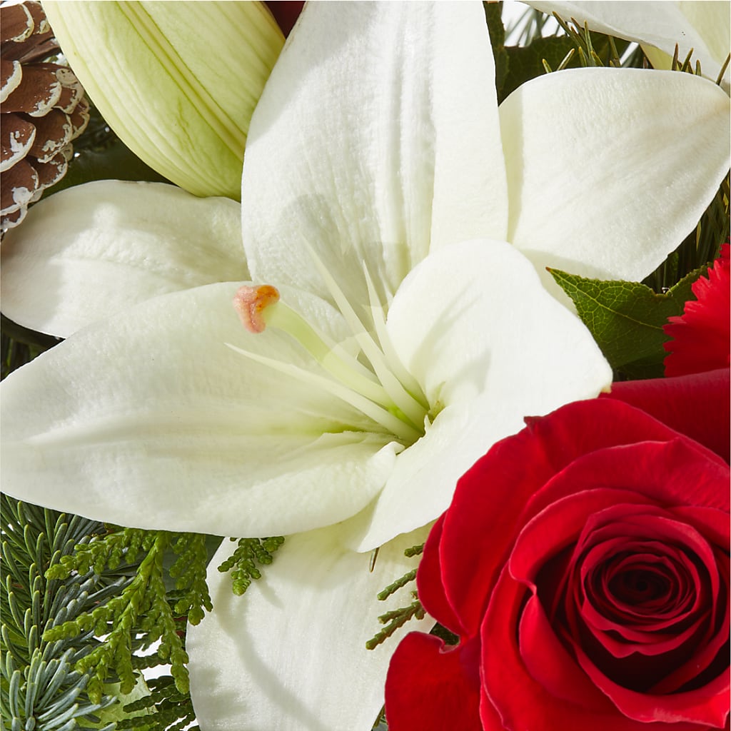 Oh So Jolly Bouquet – KILBY'S FLORIST, Kannapolis NC
