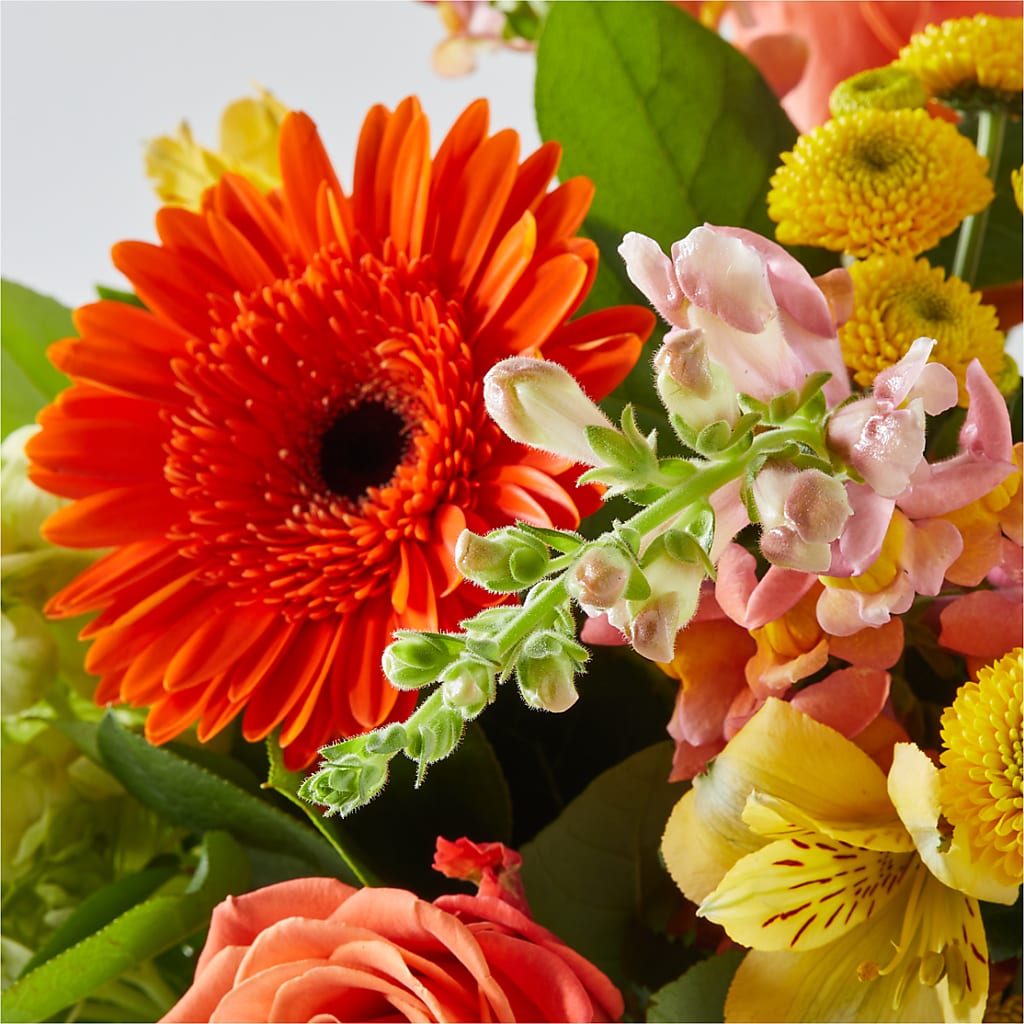 Autumn Sunshine Bouquet – KILBY'S FLORIST, Kannapolis NC