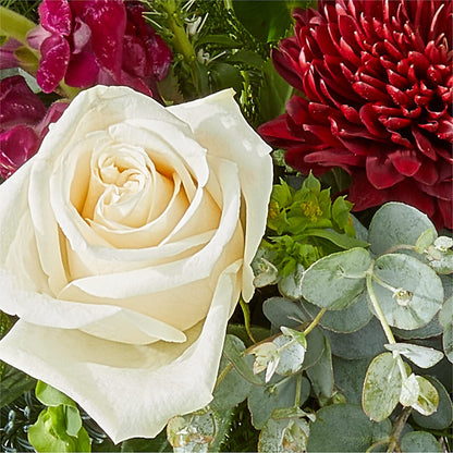 Cranberry Fizz Bouquet – KILBY'S FLORIST, Kannapolis NC