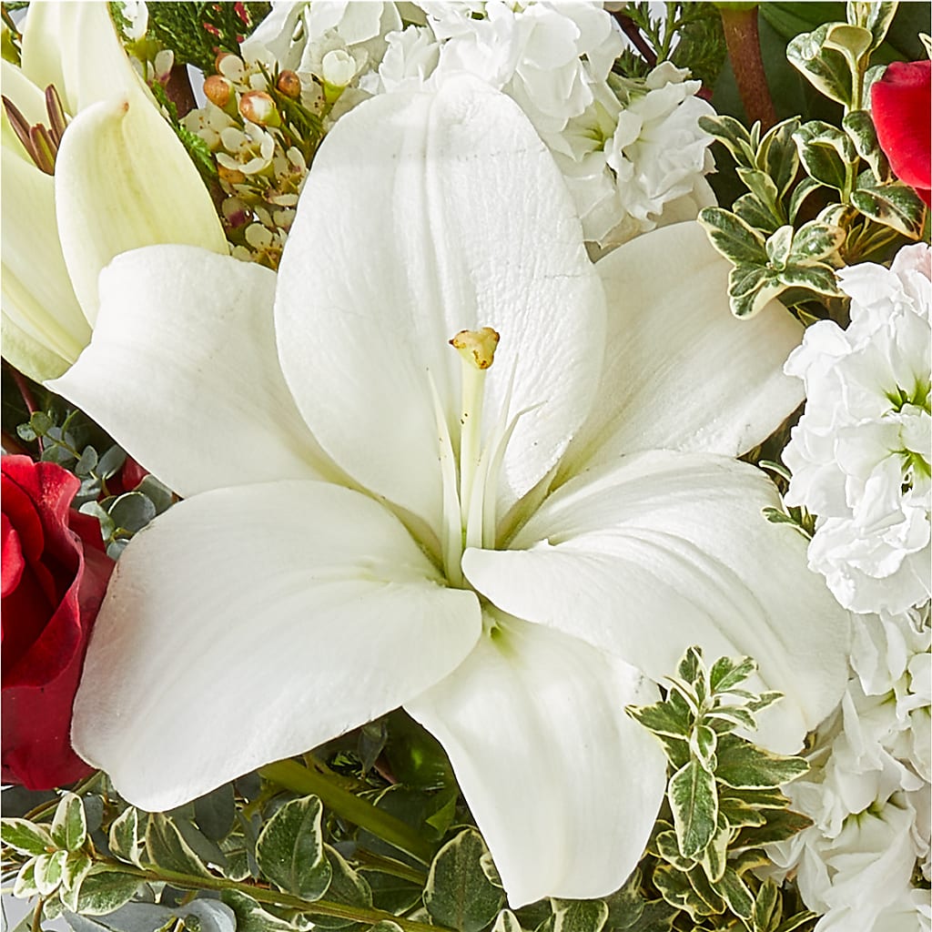 Twinkle Lights Bouquet – KILBY'S FLORIST, Kannapolis NC