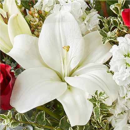 Twinkle Lights Bouquet – KILBY'S FLORIST, Kannapolis NC