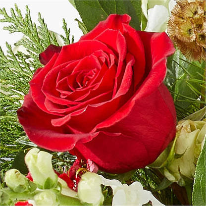 Deck the Halls Bouquet – KILBY'S FLORIST, Kannapolis NC