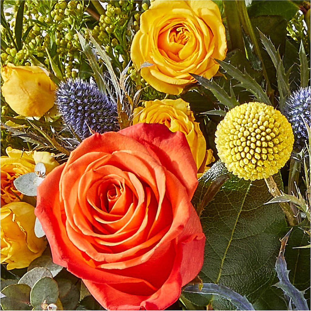 Disco Bouquet – KILBY'S FLORIST, Kannapolis NC