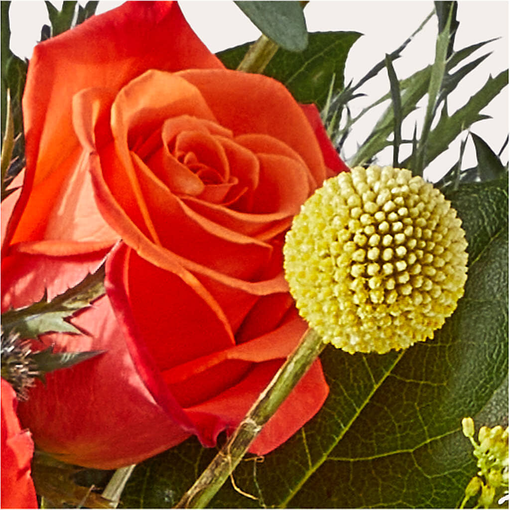 Disco Bouquet – KILBY'S FLORIST, Kannapolis NC
