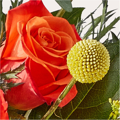 Disco Bouquet – KILBY'S FLORIST, Kannapolis NC