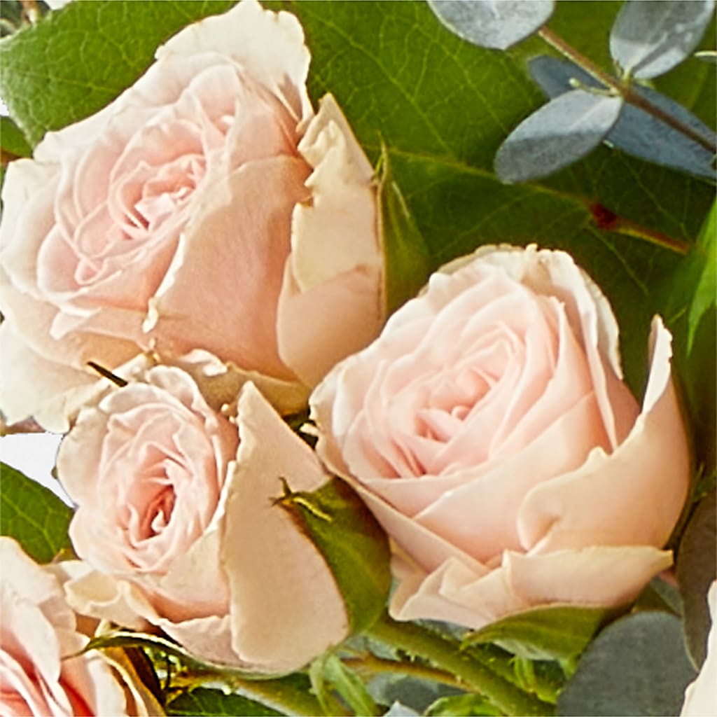Inspired Bouquet – KILBY'S FLORIST, Kannapolis NC
