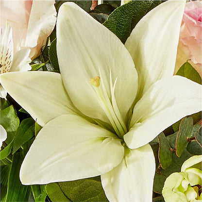 Ballet Slippers Bouquet – KILBY'S FLORIST, Kannapolis NC
