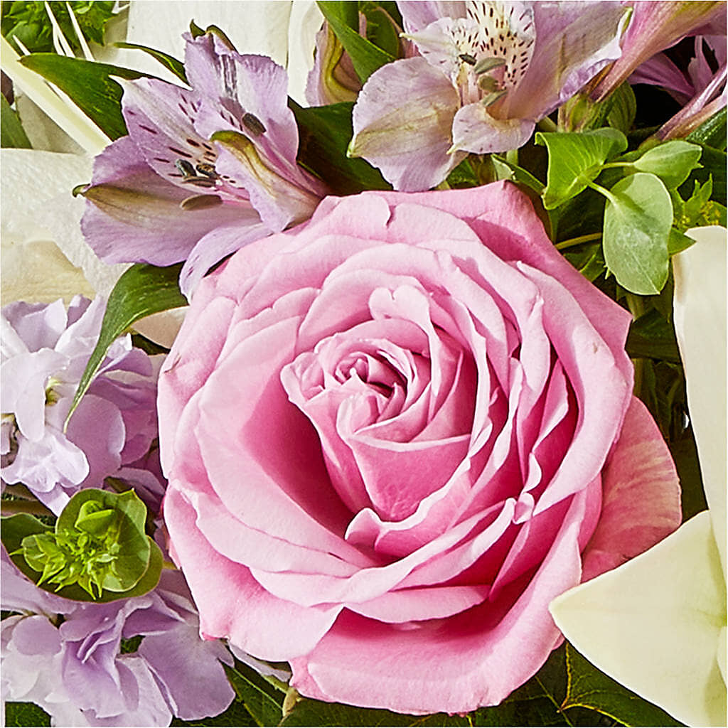 Daydreamer Bouquet – KILBY'S FLORIST, Kannapolis NC
