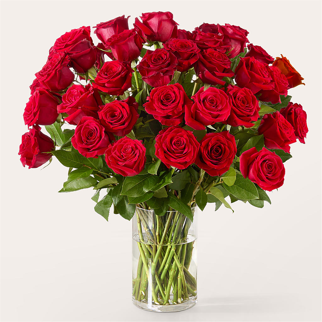 The One Red Rose Bouquet – KILBY'S FLORIST, Kannapolis NC