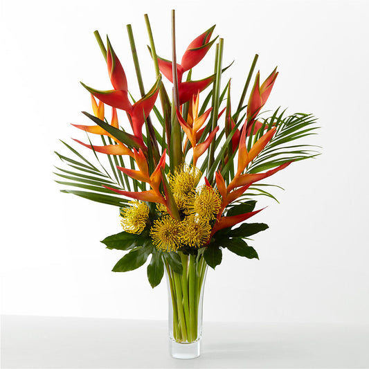 The Drama – KILBY'S FLORIST, Kannapolis NC
