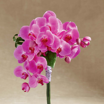 Glorious Bouquet – KILBY'S FLORIST, Kannapolis NC