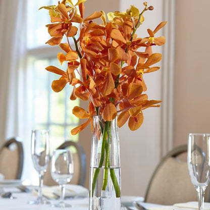 Orange Mokara Bud Vase – KILBY'S FLORIST, Kannapolis NC
