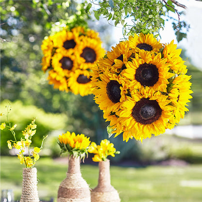 Sublime Garden Hanging Arrangement – KILBY'S FLORIST, Kannapolis NC