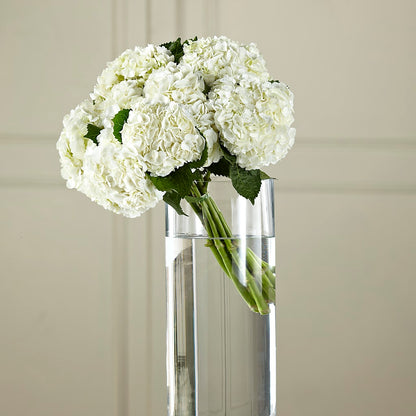 White Hydrangea Hand-Tied Bouquet – KILBY'S FLORIST, Kannapolis NC