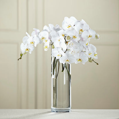 White Phalaenopsis Bouquet – KILBY'S FLORIST, Kannapolis NC