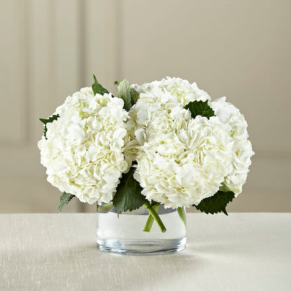 White Hydrangea Bouquet – KILBY'S FLORIST, Kannapolis NC